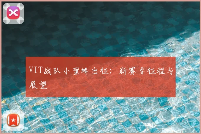VIT战队小蜜蜂出征：新赛季征程与展望