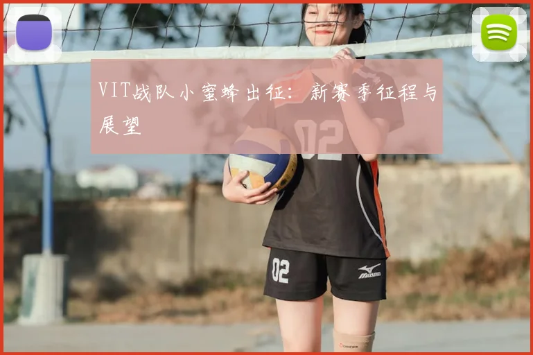 VIT战队小蜜蜂出征:新赛季征程与展望